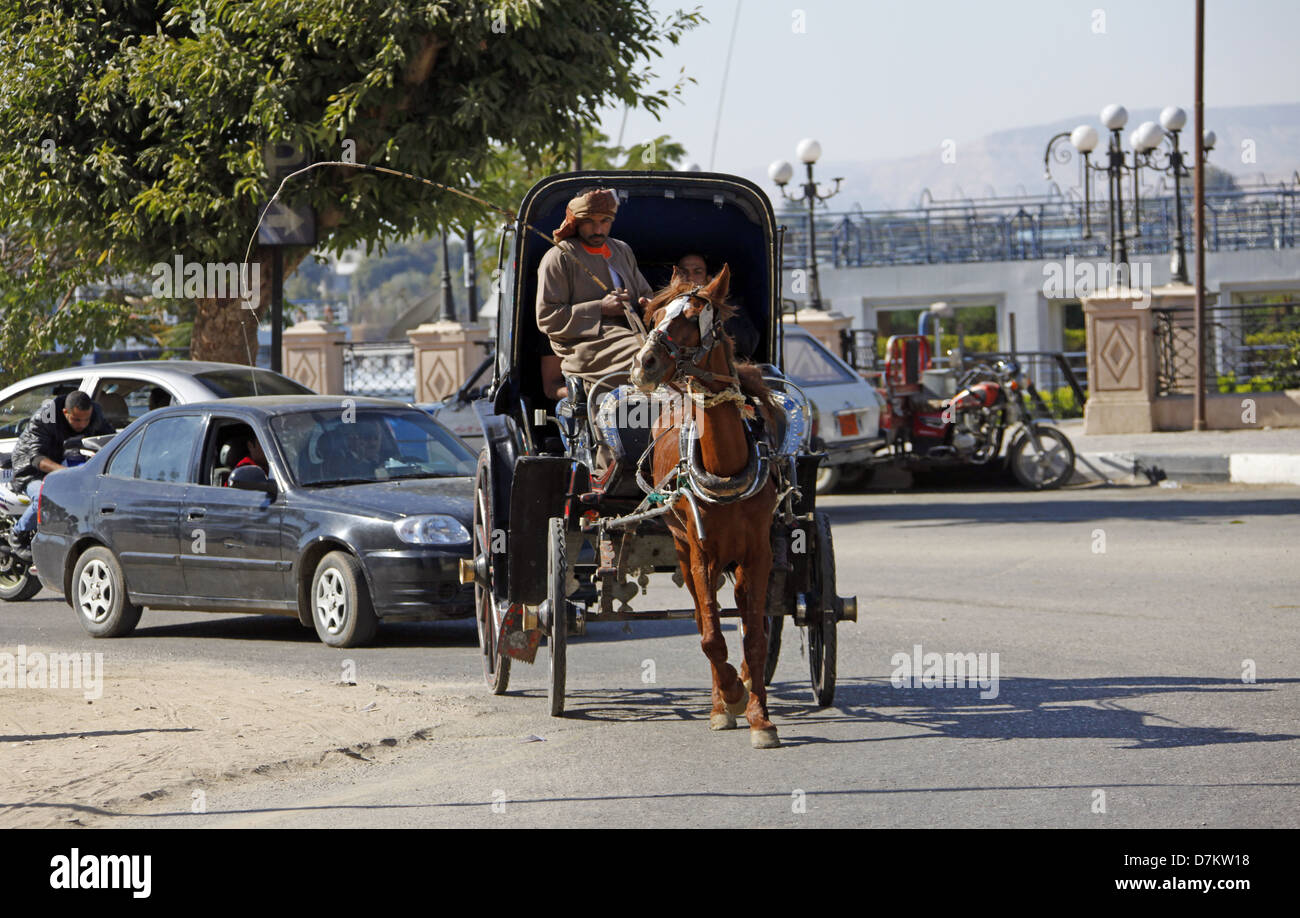 BROWN HORSE & CART LUXOR EGITTO 13 Gennaio 2013 Foto Stock