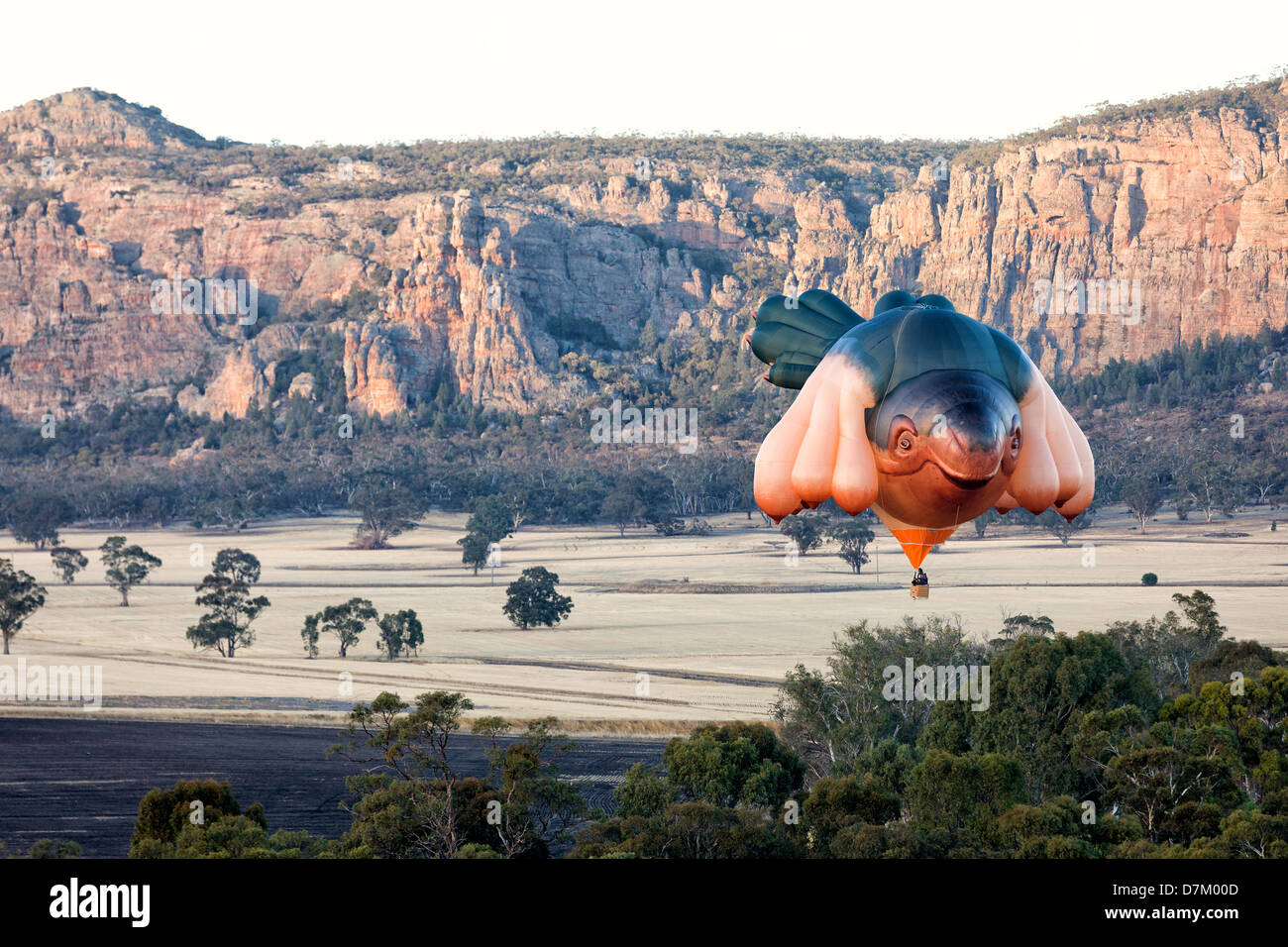 Mongolfiera Skywhale chiamato per il suo primo volo di prova. Nella foto di fronte al Monte Arapiles in Victoria occidentale. Skywale creato Foto Stock
