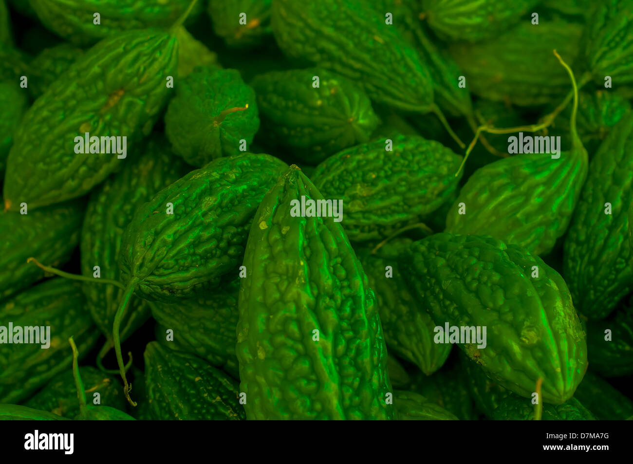 Fresco verde raw gourd Amaro Foto Stock