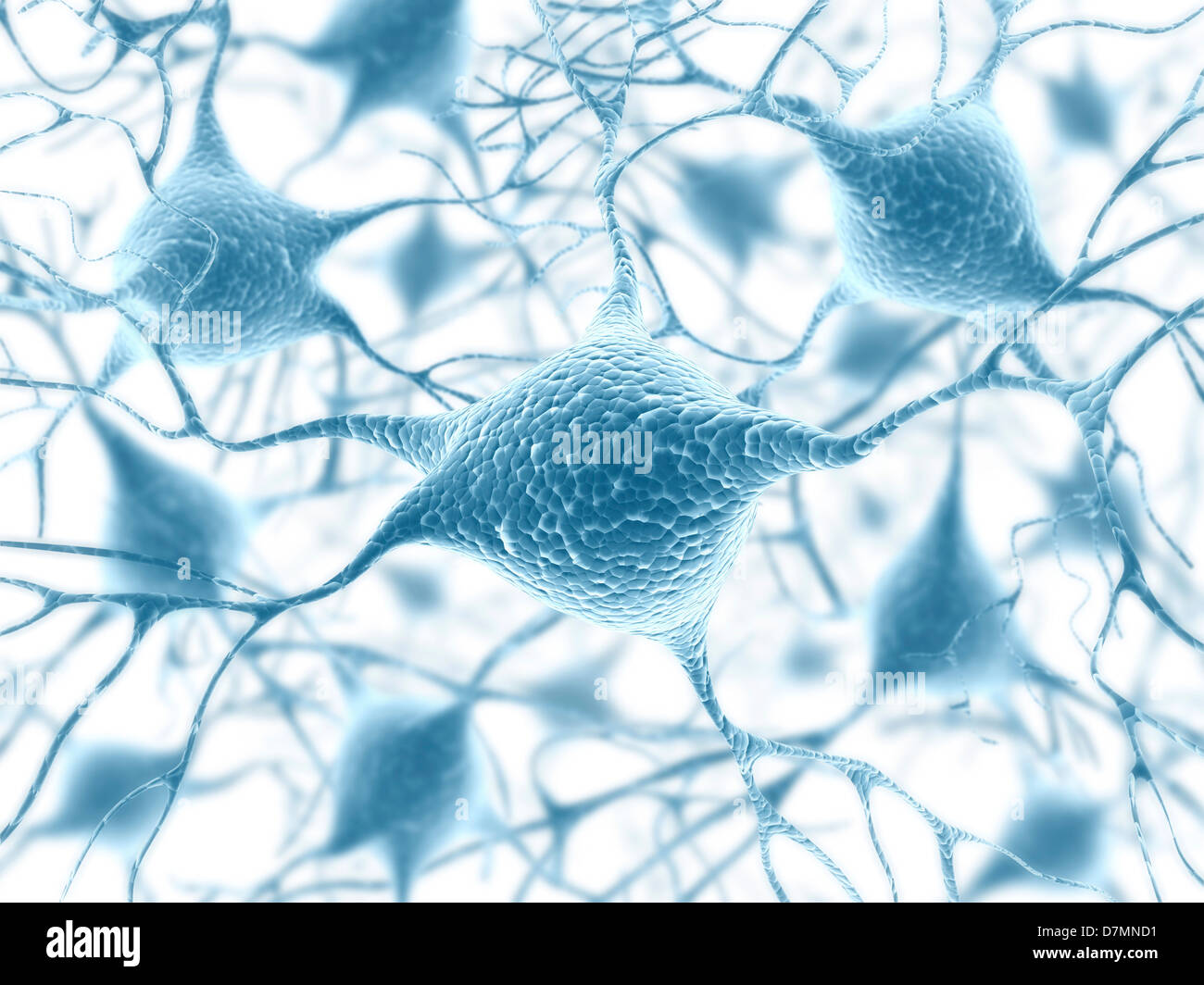 Rete neurale immagini e fotografie stock ad alta risoluzione - Alamy