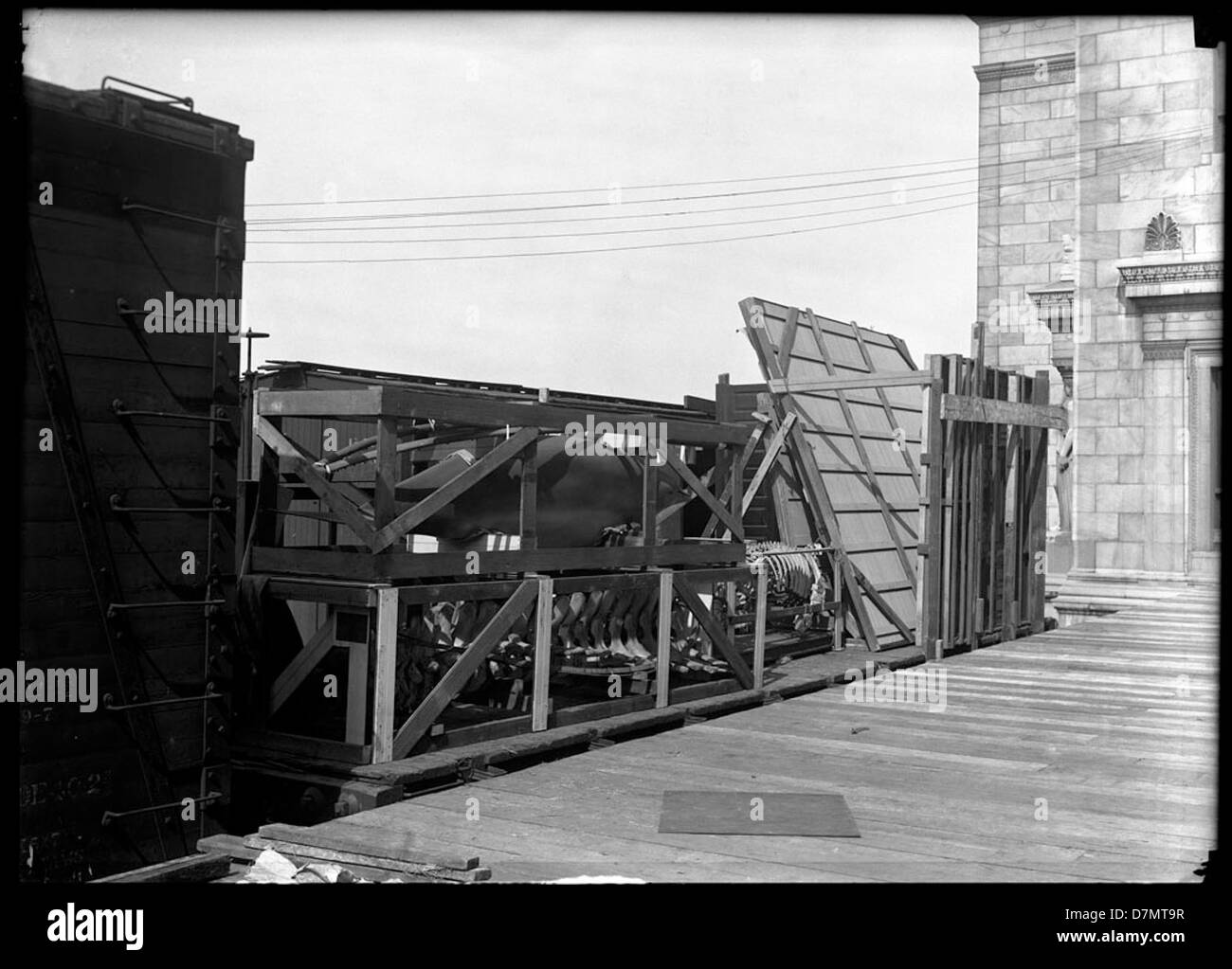 Una vetrina presso il Columbian Field Museum con un modello di un pesce o di una balena. Questa mostra mette in evidenza gli sforzi del museo per mostrare la vita marina attraverso modelli dettagliati, migliorando l'educazione pubblica sulla biologia oceanica. Foto Stock