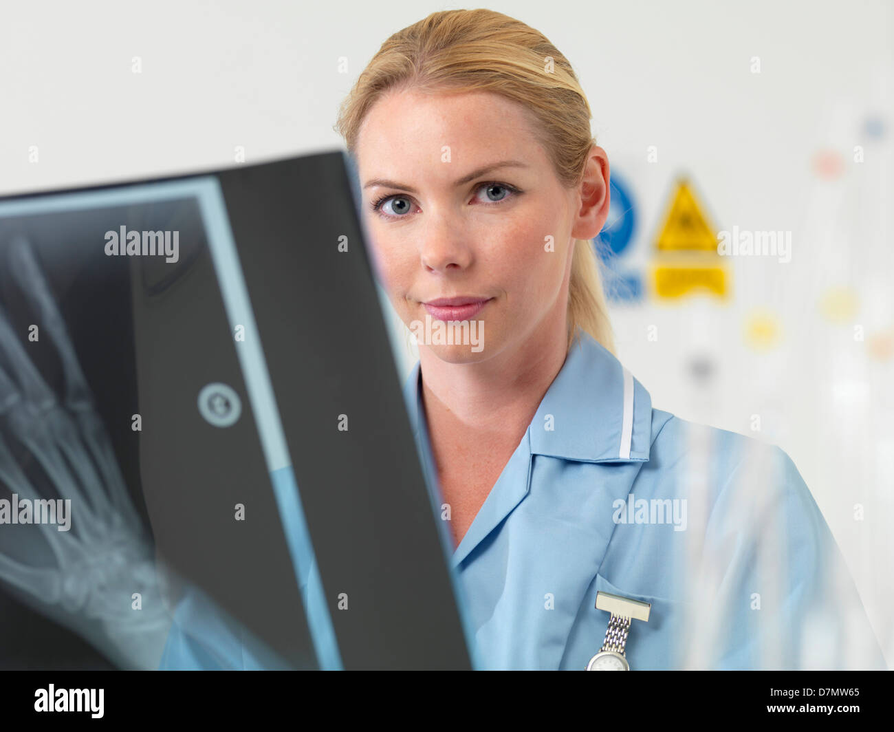 Il radiologo esamina un X-ray Foto Stock