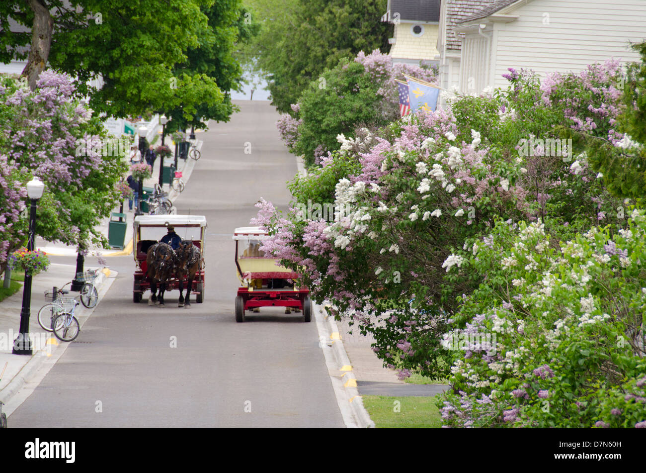 Michigan, isola di Mackinac. Tradizionale rivestito lilla street con carrozza a cavallo nel centro cittadino di Mackinac. Foto Stock
