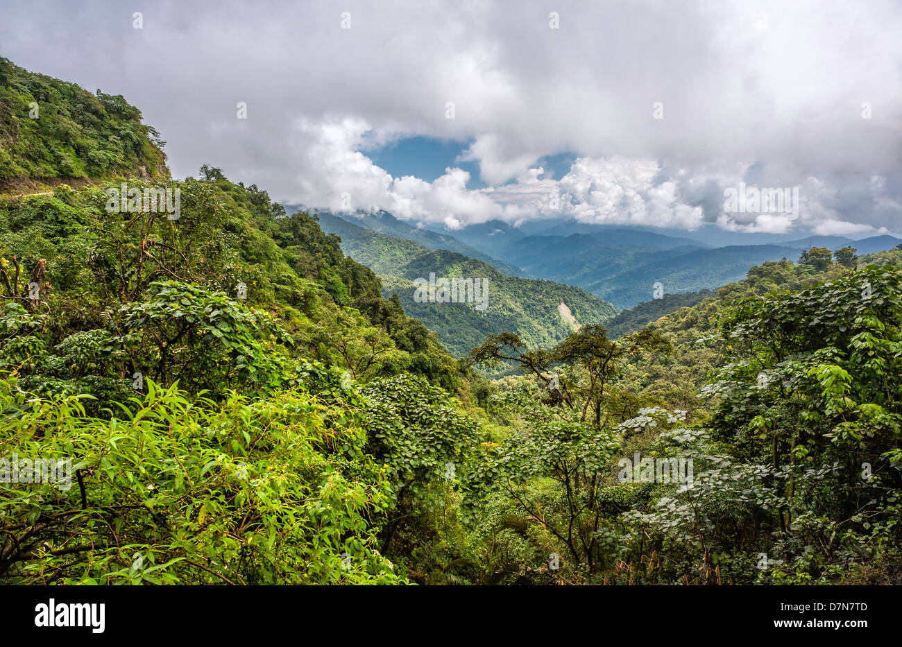 La foresta vergine e le alte montagne avvolte nel cloud vicino a Bomdila in western Arunachal Pradesh, India. Foto Stock