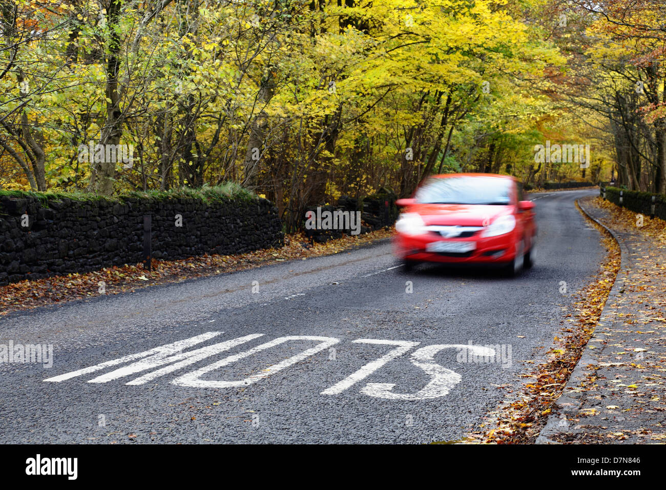 Motion auto offuscata che viaggia su una strada di campagna locale in autunno, Scozia, Regno Unito Foto Stock