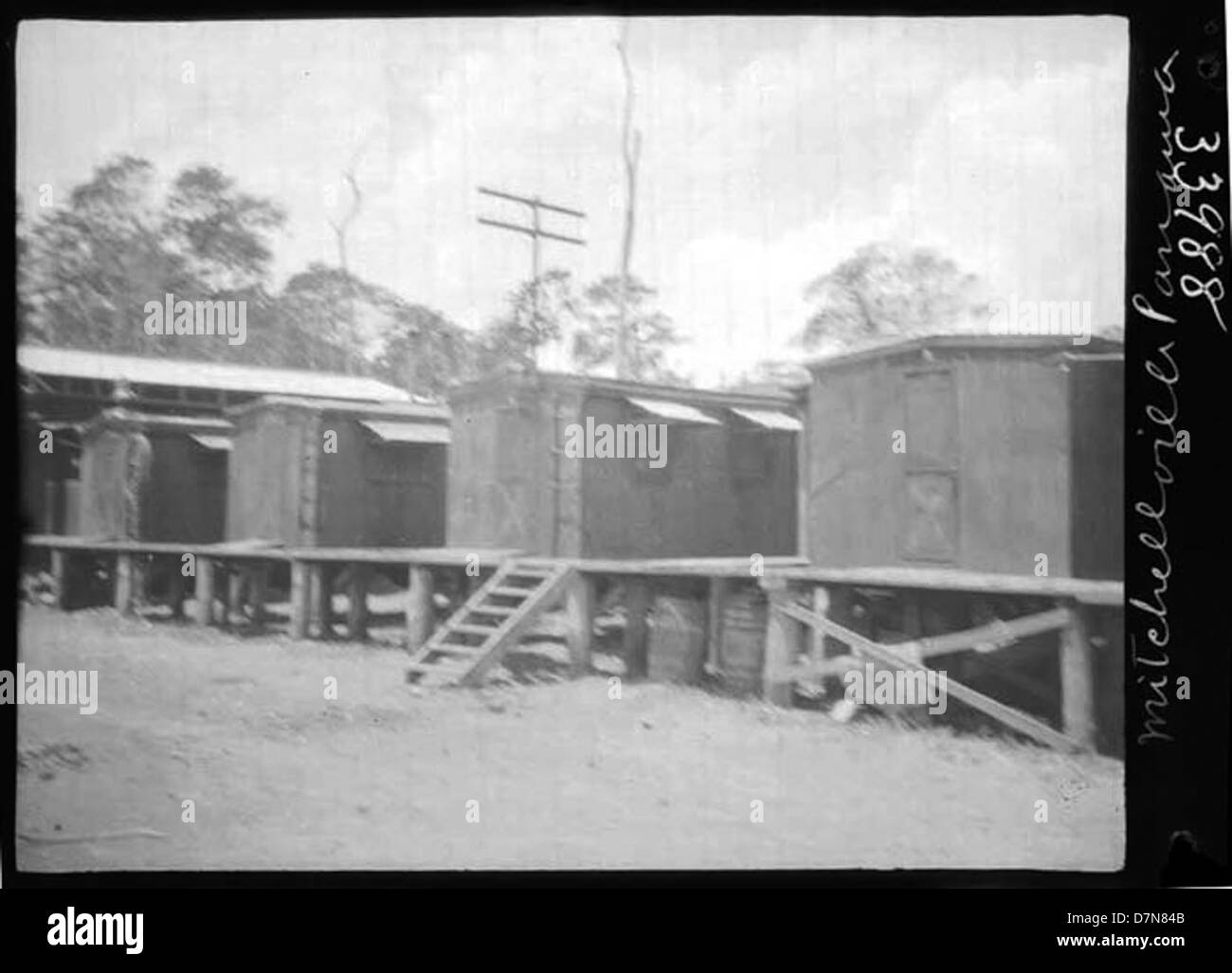 Baracche di legno a Mitchelville, nell'area del Canale di Panama, nel 1911-1912, che mostrano le semplici condizioni di vita dei lavoratori durante la costruzione del canale, parte della più grande spedizione zoologica. Foto Stock
