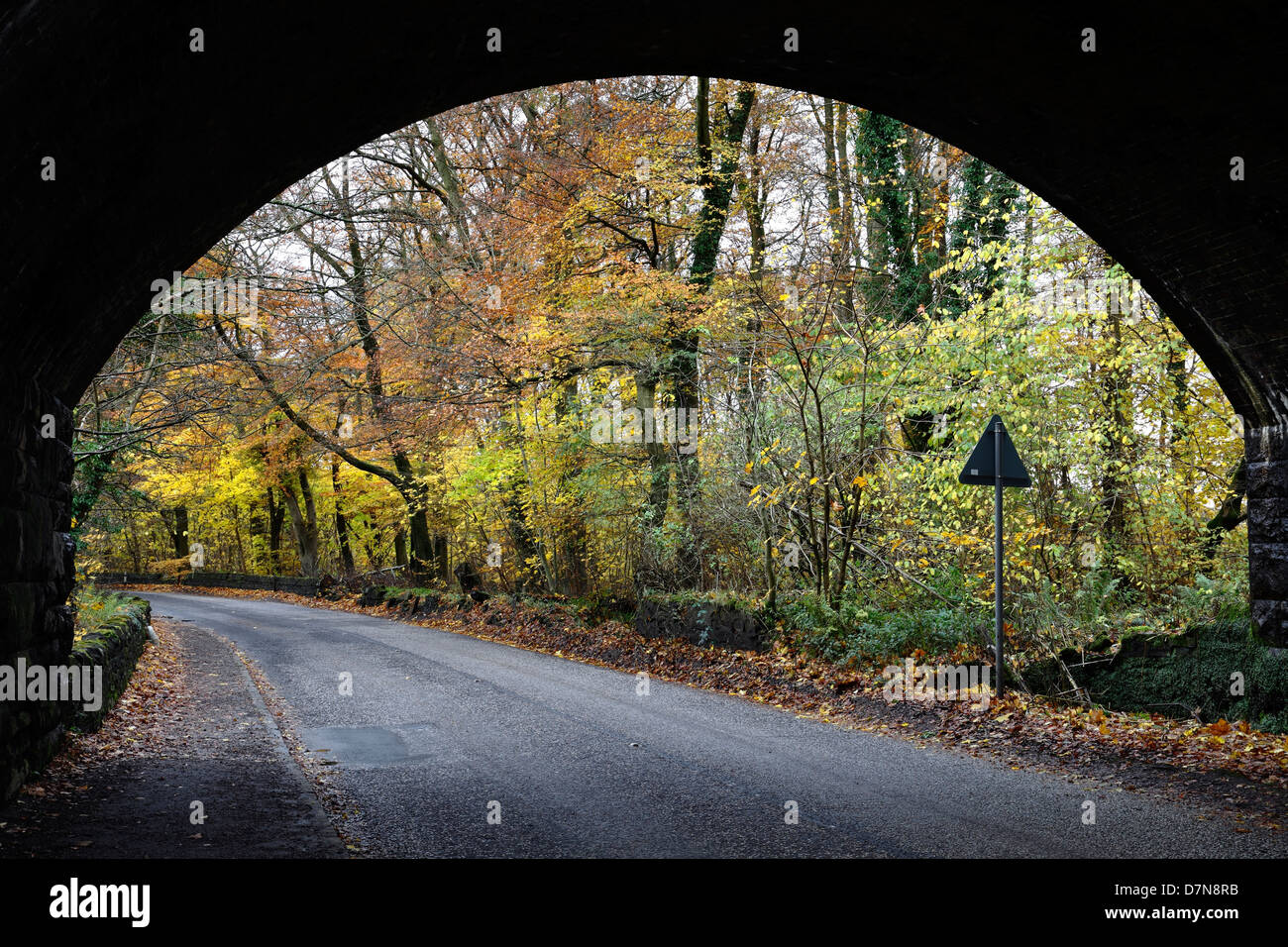 Vuota strada di campagna locale passando sotto un ponte in autunno, Scozia, Regno Unito Foto Stock