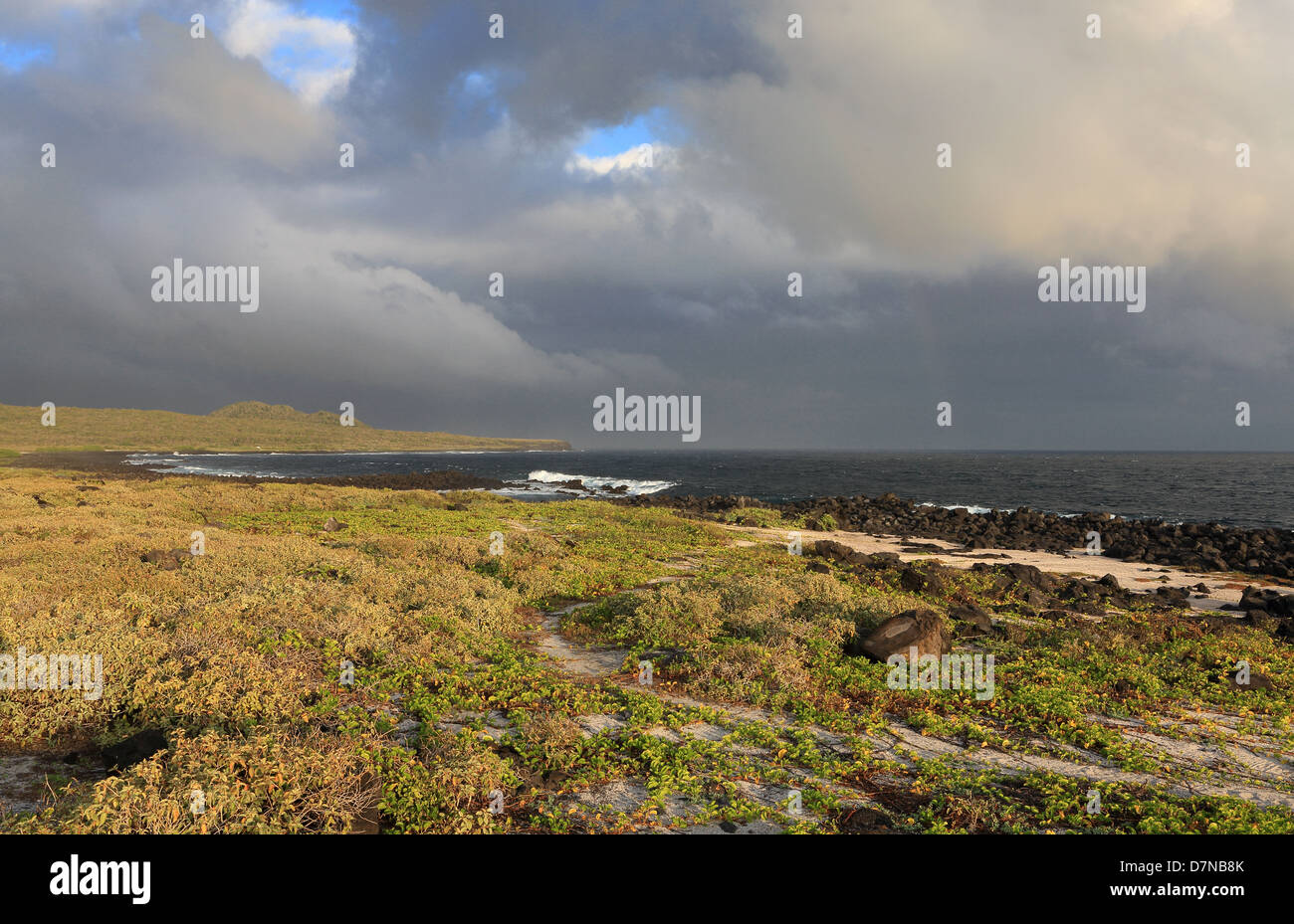 Il robusto paesaggio vulcanico della costa sud di San Cristobal Island. Foto Stock