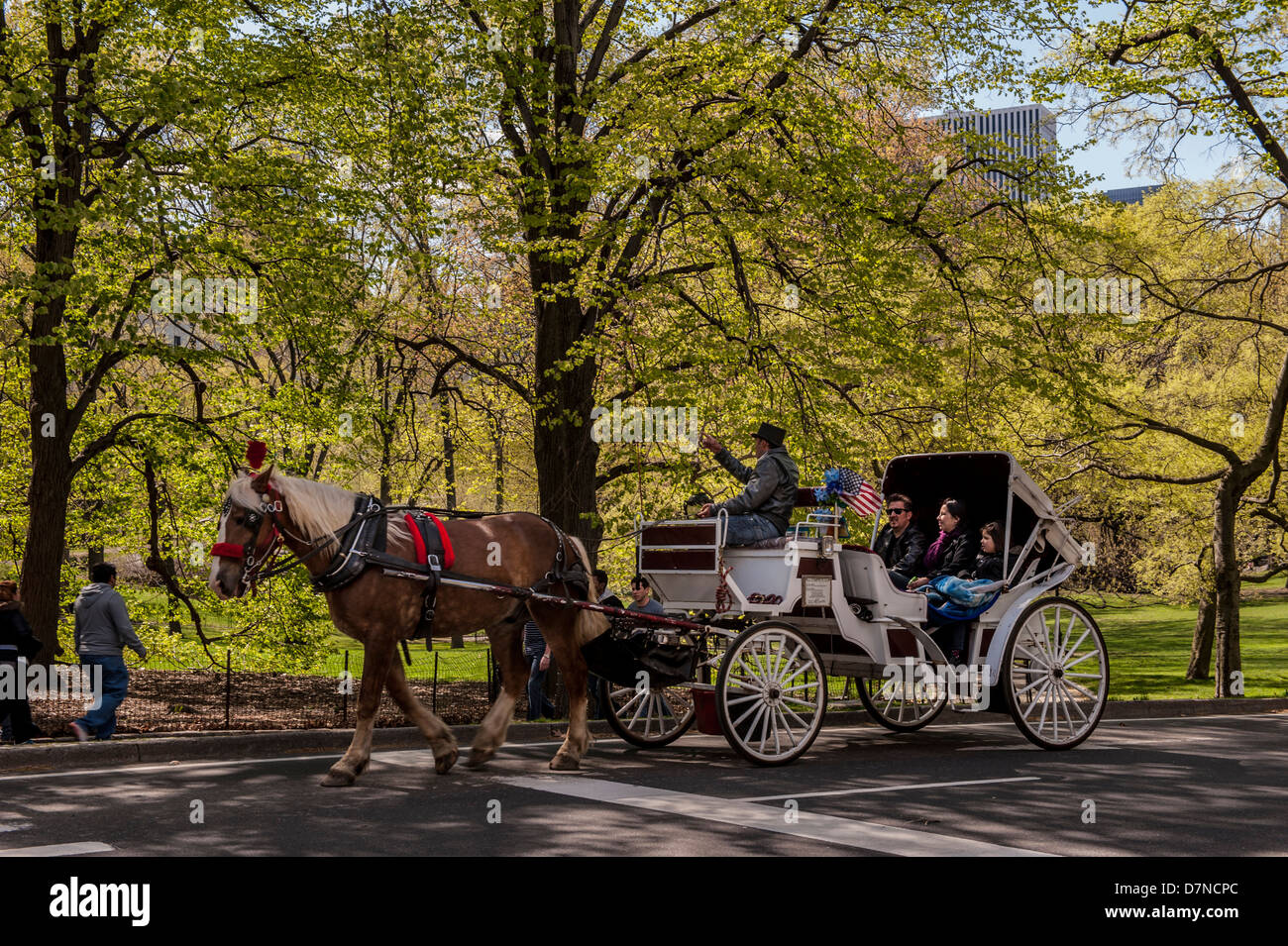 Stati Uniti d'America, New York New York City Central Park, carrozza trainata da cavalli Foto Stock