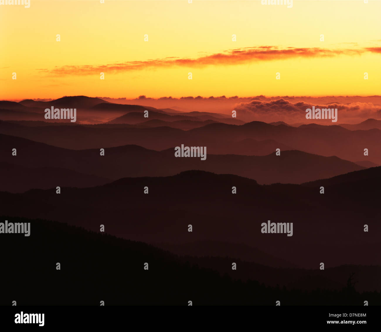 Stati Uniti d'America, North Carolina, Great Smoky Mountains National Park, Southern Appalachian creste ad Alba (formato di grandi dimensioni disponibili) Foto Stock