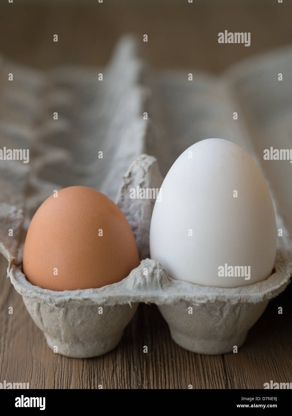 Uovo di oca e uovo di pollo il confronto delle dimensioni Foto Stock
