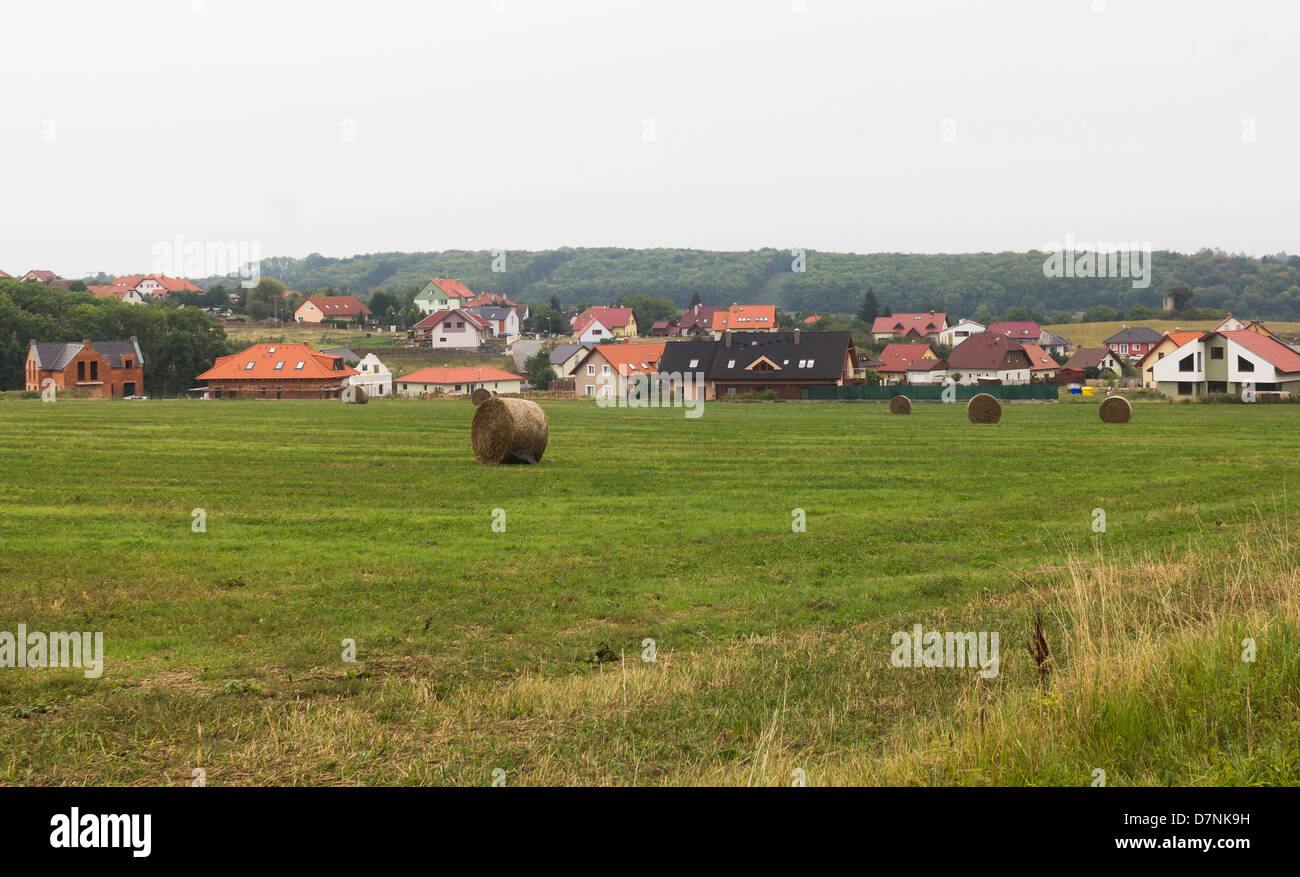 Paesaggio rurale con un campo di grano mietuto Foto Stock