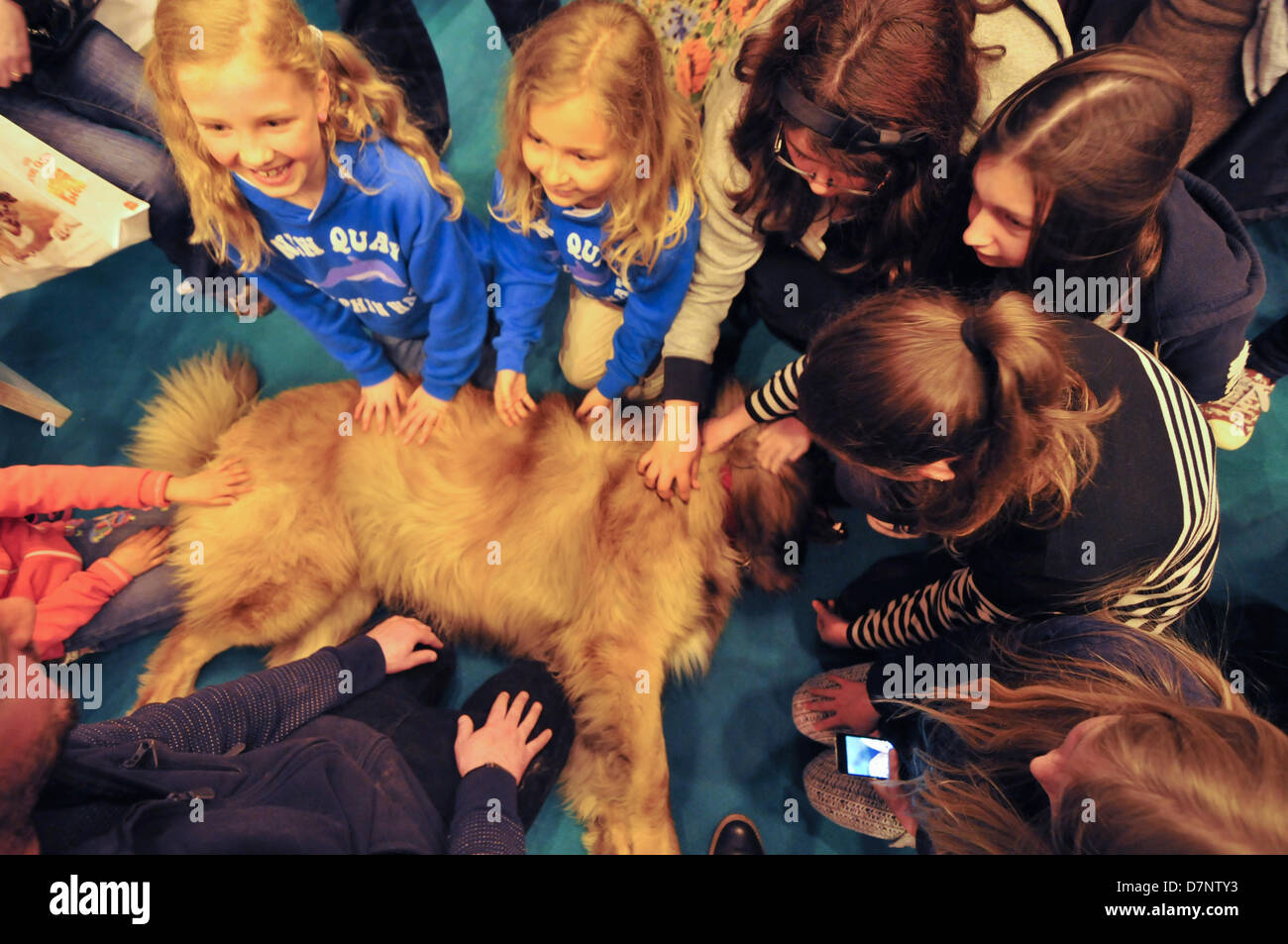 Earls Court due, Londra, Regno Unito. 11 maggio 2013. I bambini come accarezzare un cane. Il London Pet Show a Earls Court due. La mostra è divisa in quattro zone, scopri i cani, scopri i gatti, scoprire piccoli Furries e scoprire gli animali. Da pony a pooches e pappagalli per pigmeo di ricci, il London Pet mostra caratteristiche creature grandi e piccole. Alcuni del Regno Unito leader esperti di animali sono a portata di mano per consigliare sulla pet care. Credito: Matteo Chattle/Alamy Live News Foto Stock