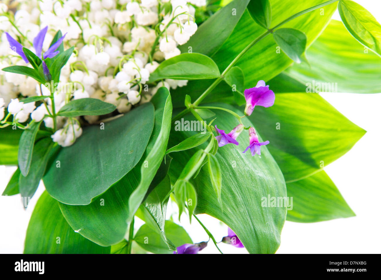 Mazzo di mughetti immagini e fotografie stock ad alta risoluzione - Alamy