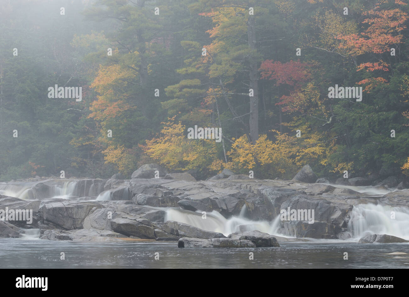 Fiume Swift. White Mountain National Forest. New Hampshire. Ottobre 2012. Foto Stock