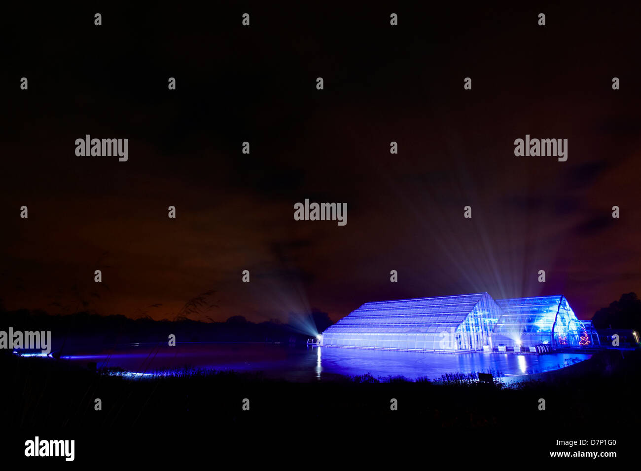 WISLEY GLASSHOUSE illuminato di luce evento TRAIL Foto Stock