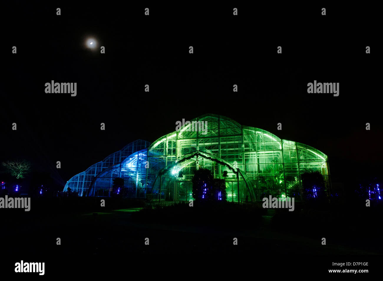 WISLEY GLASSHOUSE illuminato di luce evento TRAIL Foto Stock