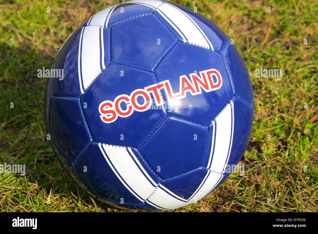 La Scozia in pelle con marchio calcio in erba Foto Stock