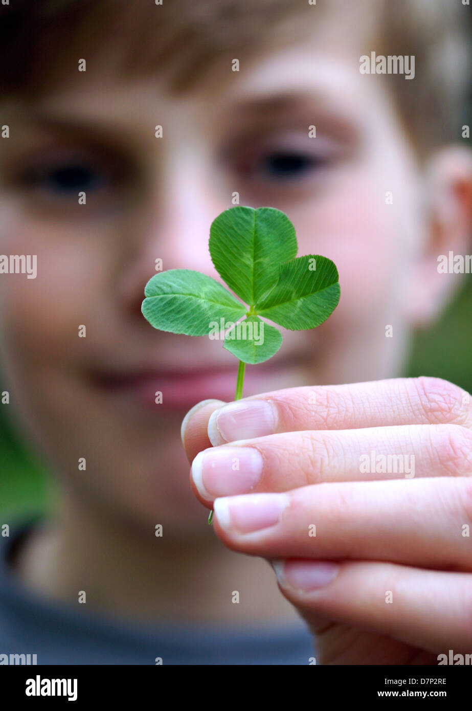 Un piccolo ragazzo detiene un quattro foglia di trifoglio in mano Foto Stock