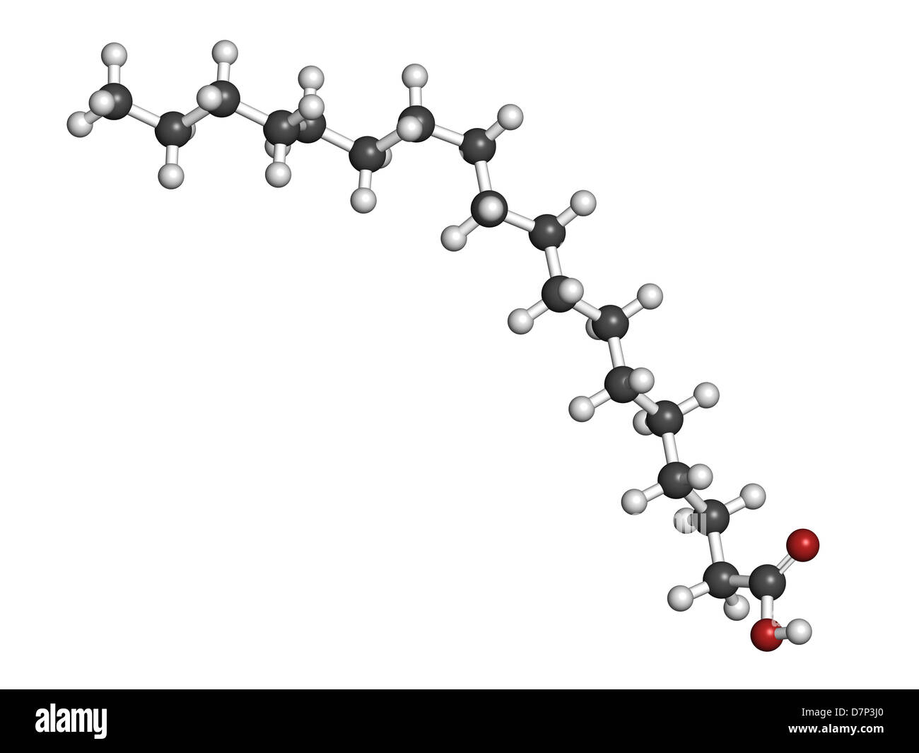 Acido stearico acido grasso saturo, modello molecolare. Gli atomi sono rappresentati come sfere convenzionale con codifica a colori Foto Stock