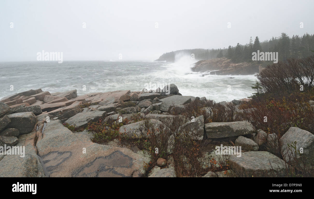 Uragano Sandy al Parco Nazionale di Acadia, Maine. Foto Stock