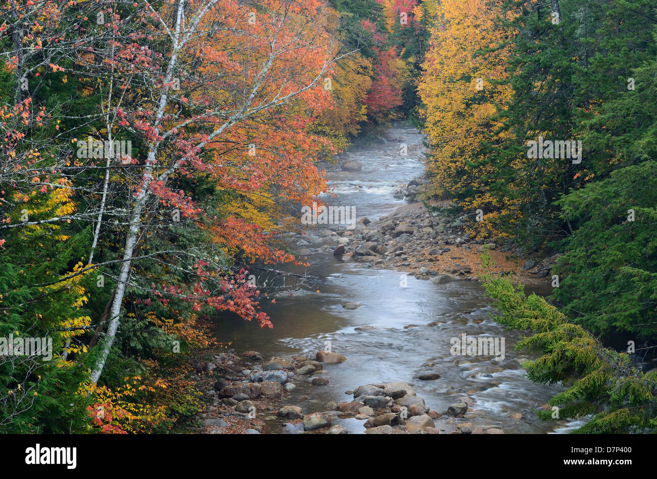 Mad River, la caduta delle foglie, Waterville Valley, New Hampshire. Foto Stock