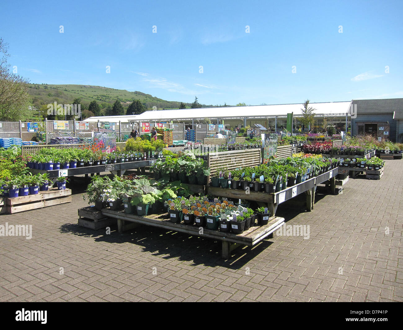 Giardino rurale centro in Somerset, con mostra di piante in vendita Maggio 2013 Foto Stock