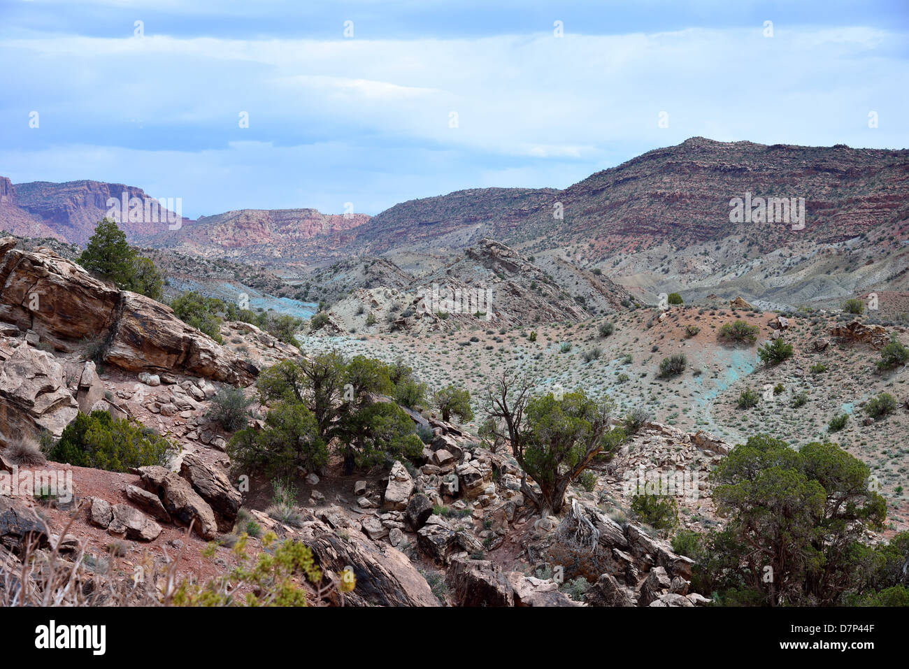 Multi-colore di formazioni rocciose. Parco Nazionale di Arches, Moab, Utah, Stati Uniti d'America. Foto Stock