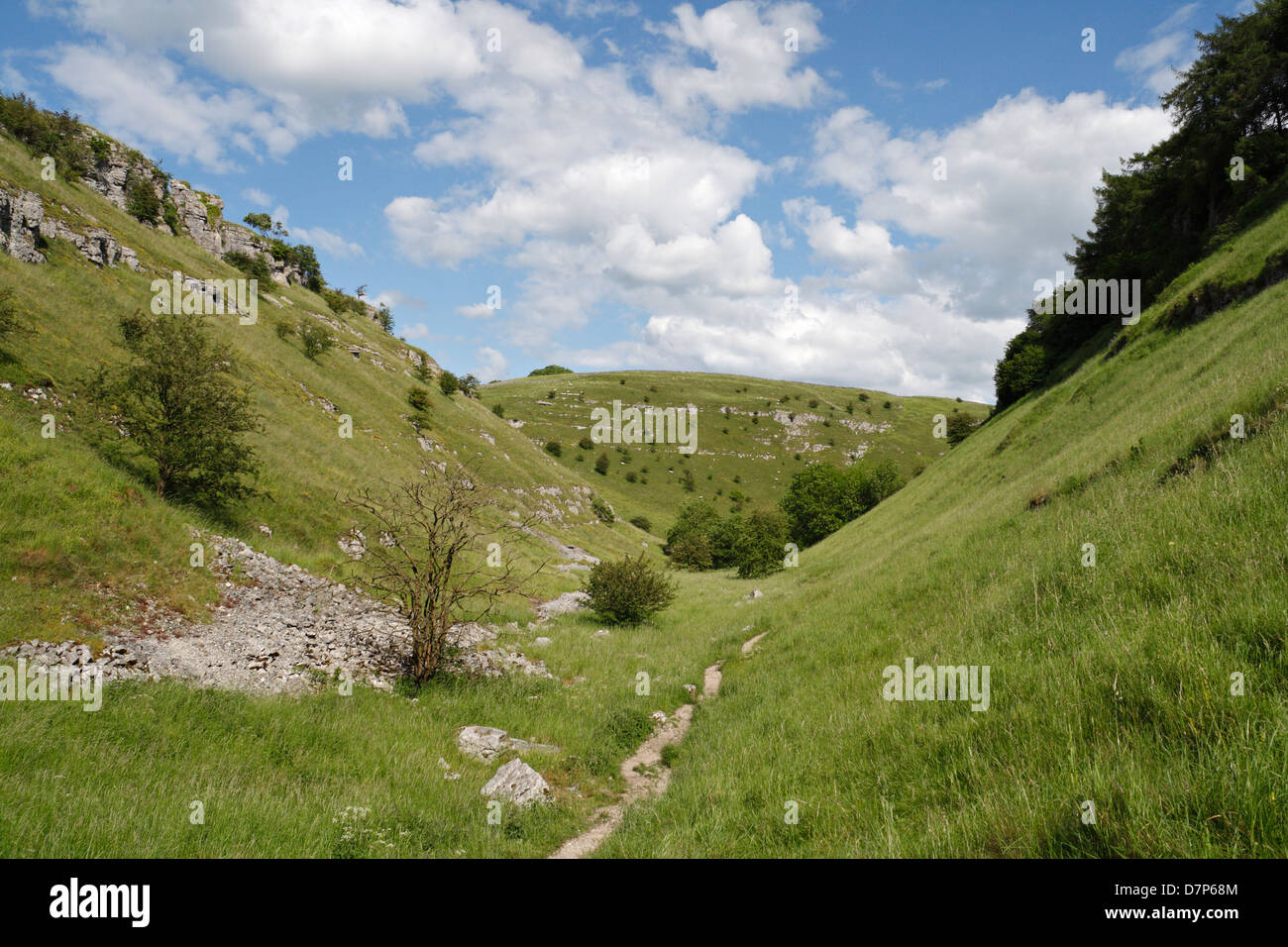 Lathkill Dale Derbyshire Inghilterra, Dry Limestone Valley, Peak District National Park Regno Unito. Campagna inglese estate Foto Stock
