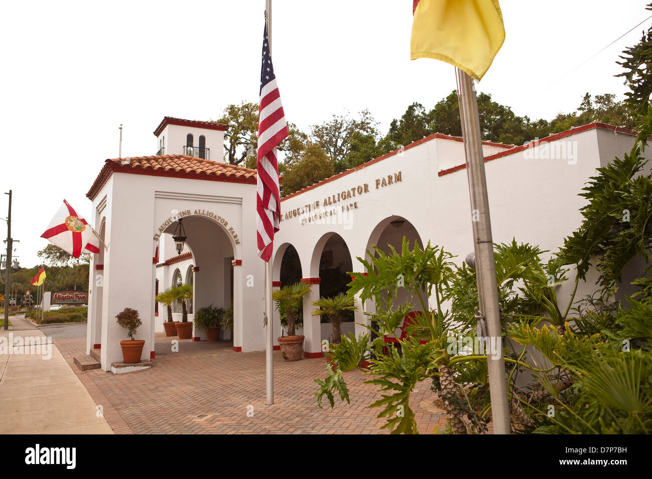 Il coccodrillo fattoria parco zoologico è visto in Sant'Agostino, Florida Foto Stock