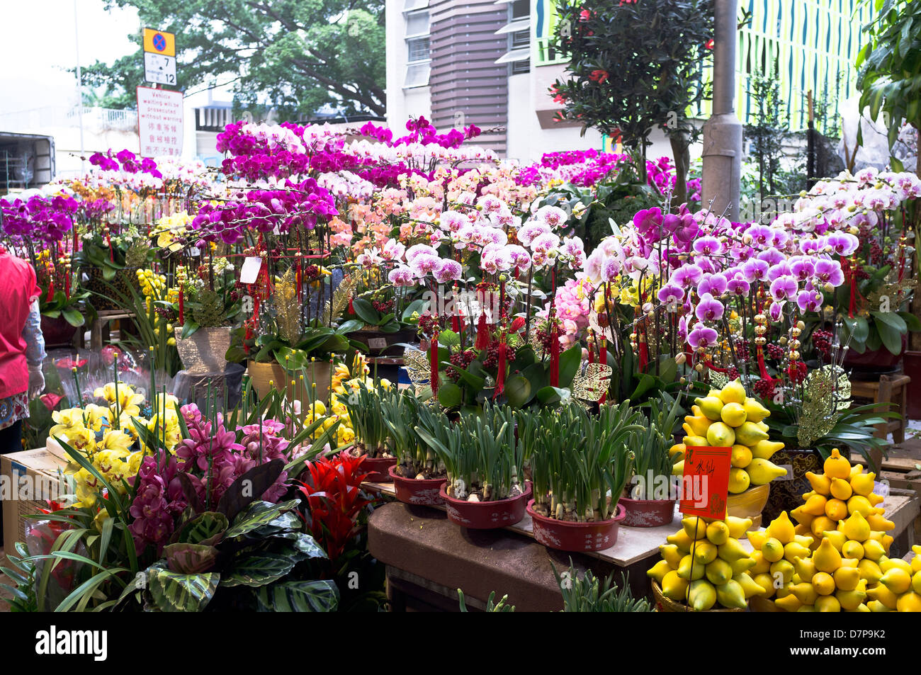 Dh Flower Market Mong Kok di Hong Kong per il nuovo anno cinese fiori e decorazioni del mercato display di stallo Foto Stock