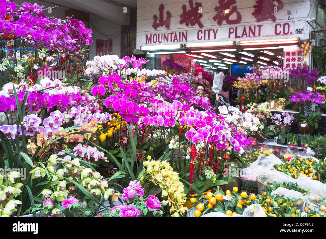 dh Flower Market MONG KOK HONG KONG Chinese New Year fiori decorazione mercato stalla mostra mongkok negozio floreale esterno cina Foto Stock