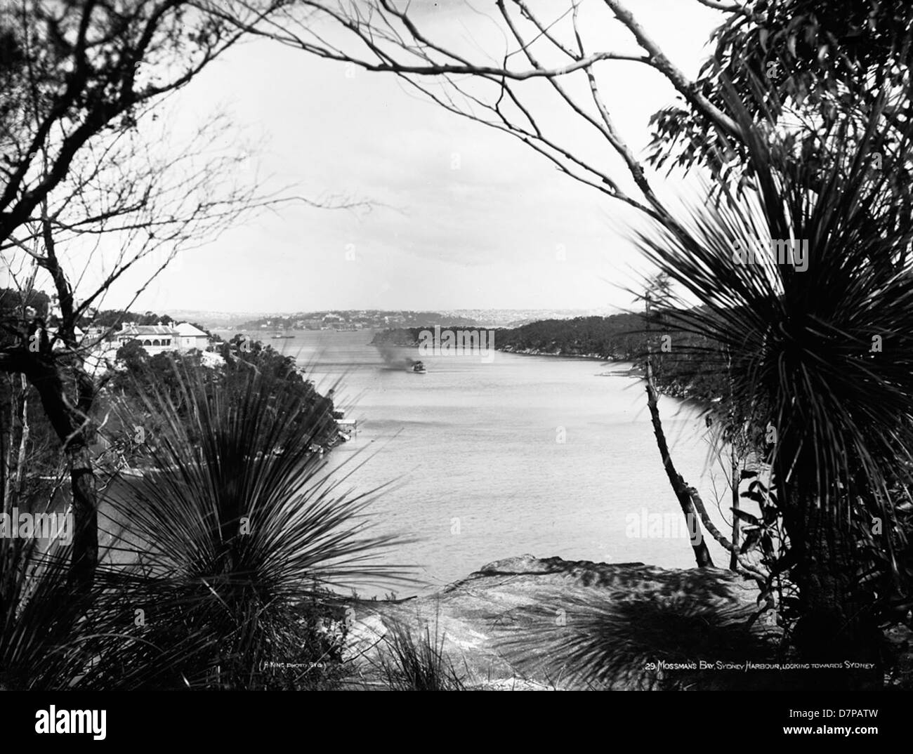 Una fotografia di Mosman Bay nel porto di Sydney, guardando verso lo skyline di Sydney. L'immagine cattura la bellezza naturale della baia e l'iconico paesaggio urbano sullo sfondo. Foto Stock