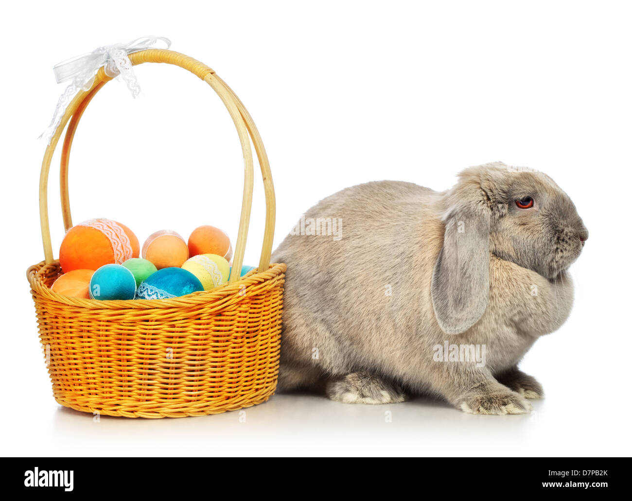 Grigio-lop earred il coniglio e il cesto di Pasqua, isolato su bianco Foto Stock