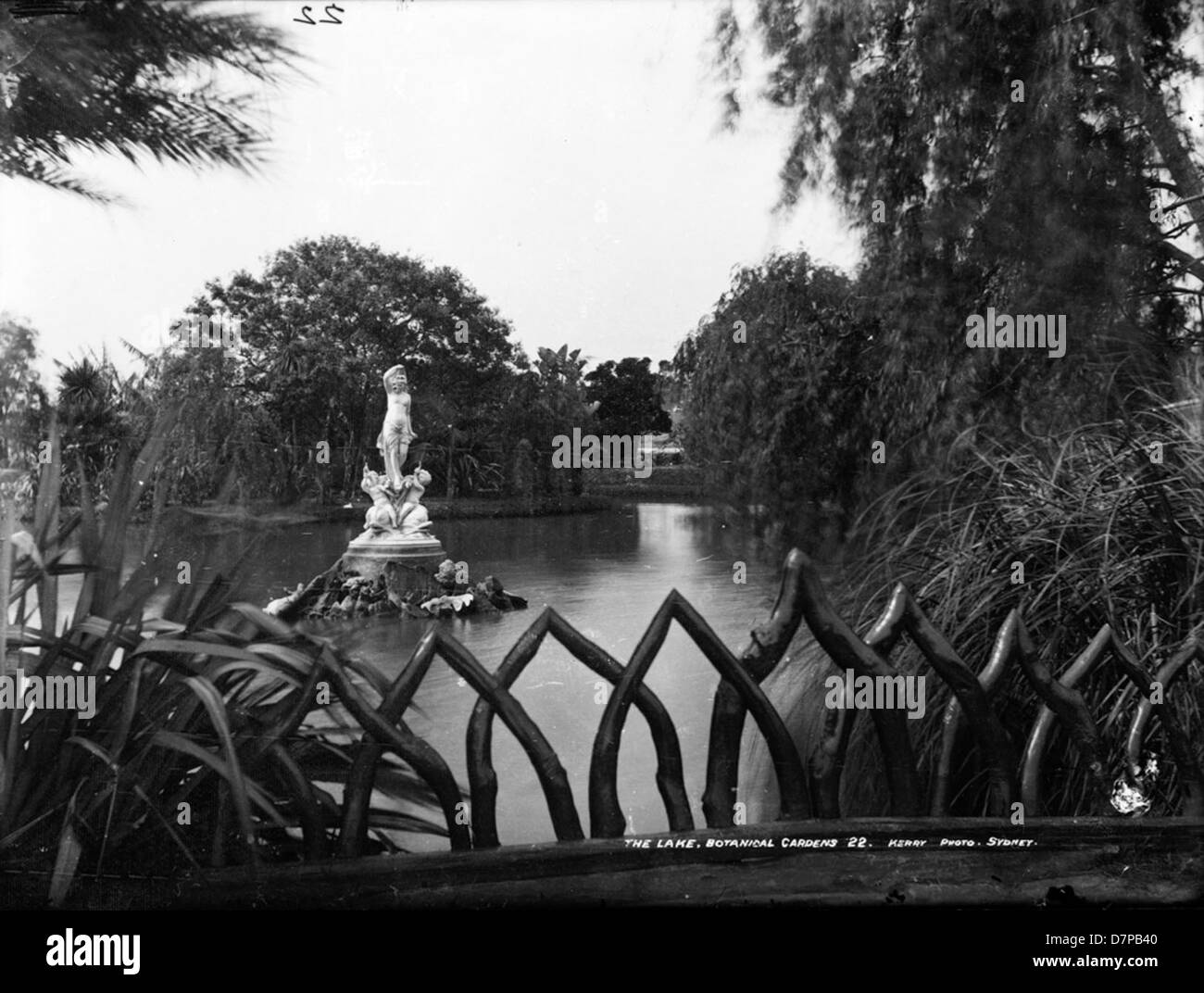 Un'immagine che cattura il tranquillo lago dei Royal Botanic Gardens di Sydney, con alberi lussureggianti e erbe ornamentali che lo circondano, riflettendo la bellezza dei giardini. La fotografia mette in evidenza l'atmosfera tranquilla dei giardini e le sue caratteristiche acquatiche. Foto Stock