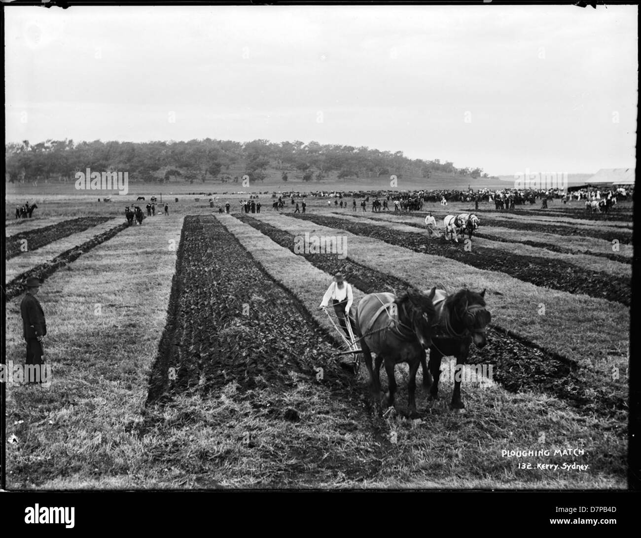 Partita di aratura Foto Stock