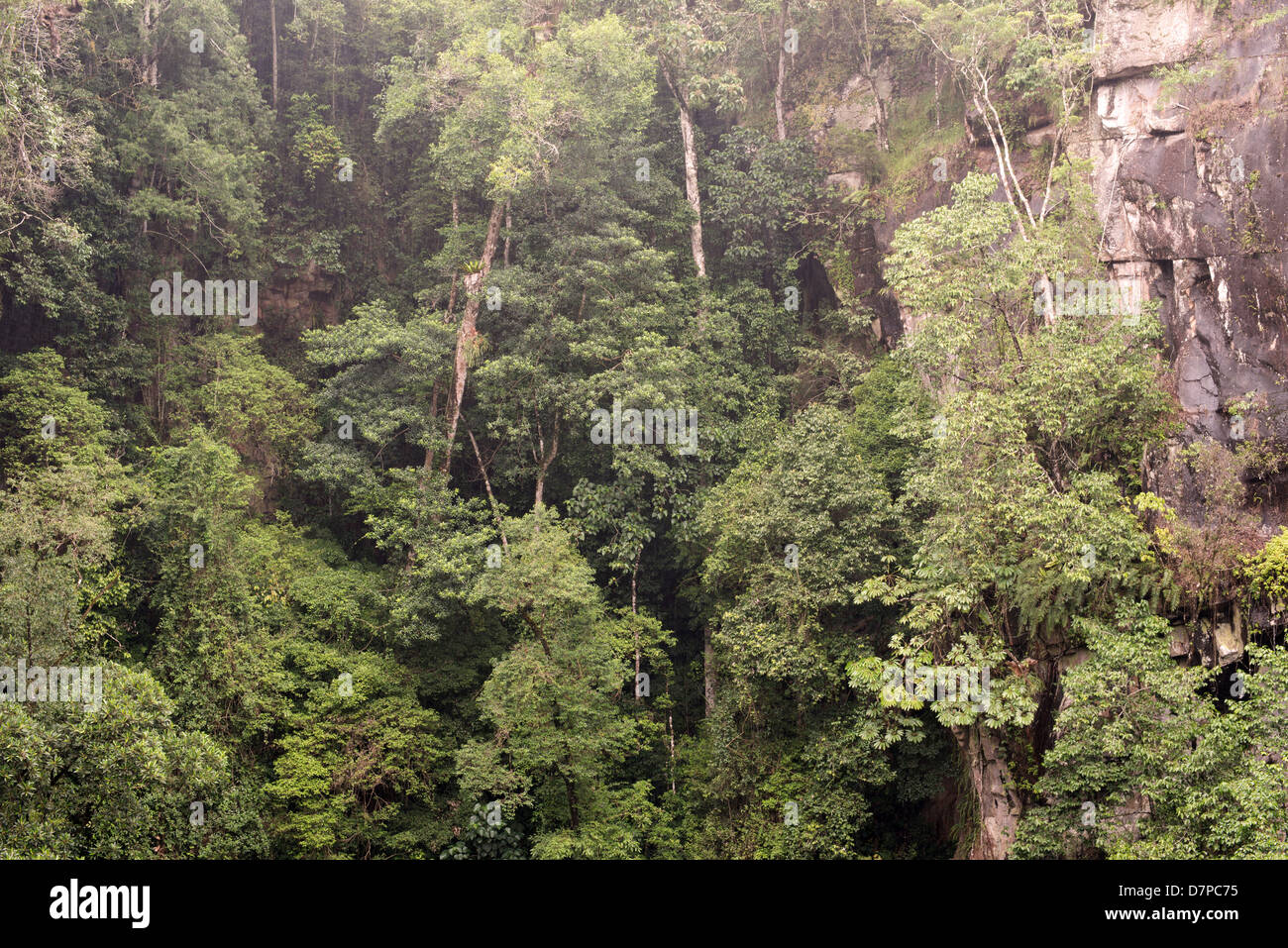 Il Monte Hypipamee cratere,situato a sud-est di Herberton sull'altopiano di Atherton nell estremo Nord Queensland Foto Stock