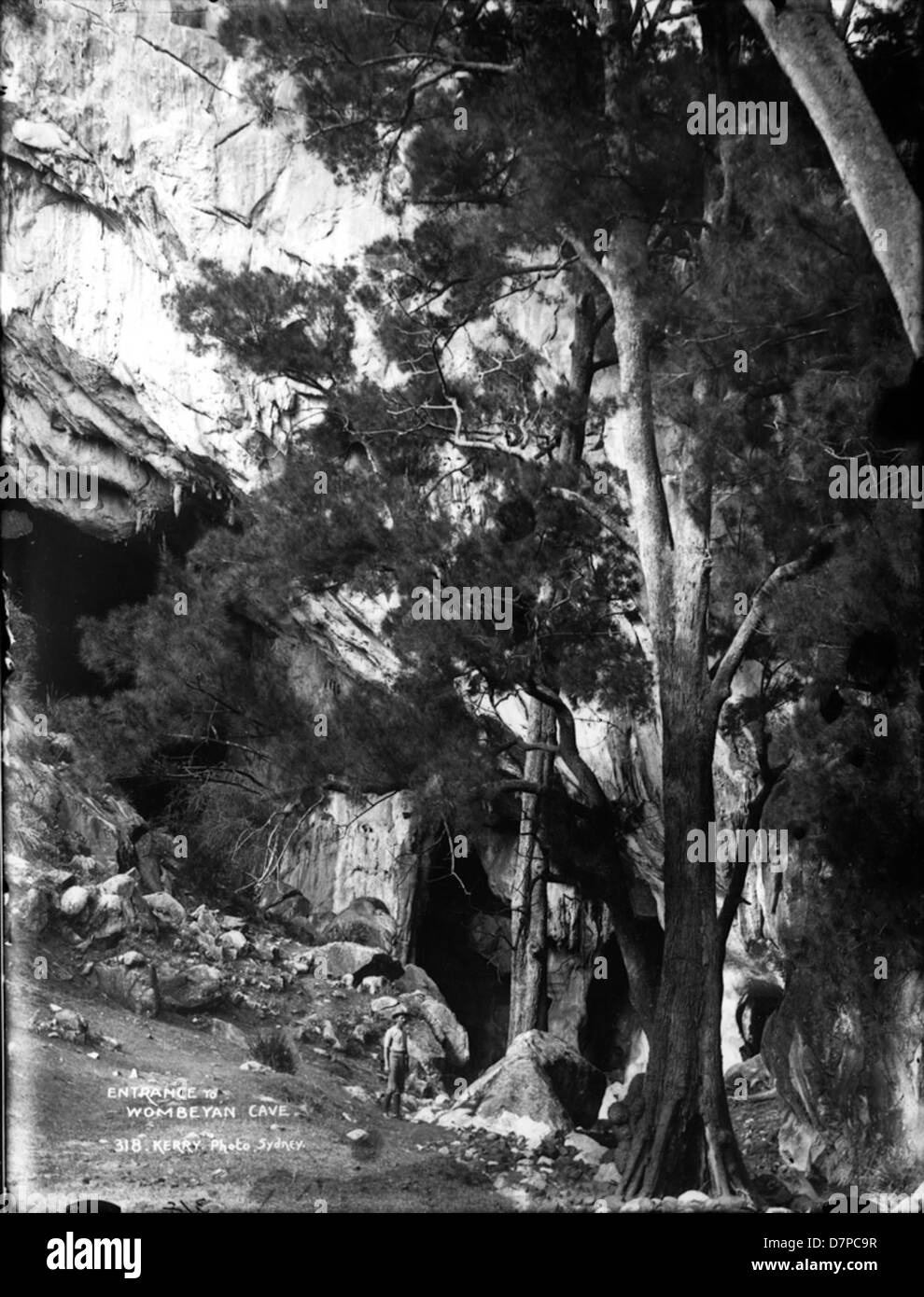 L'ingresso alla Grotta di Wombeyan è una caratteristica notevole presso il Powerhouse Museum, che mostra la bellezza naturale del sistema di grotte. Questo ingresso è un elemento chiave per comprendere la storia geologica e ambientale dell'area. Foto Stock