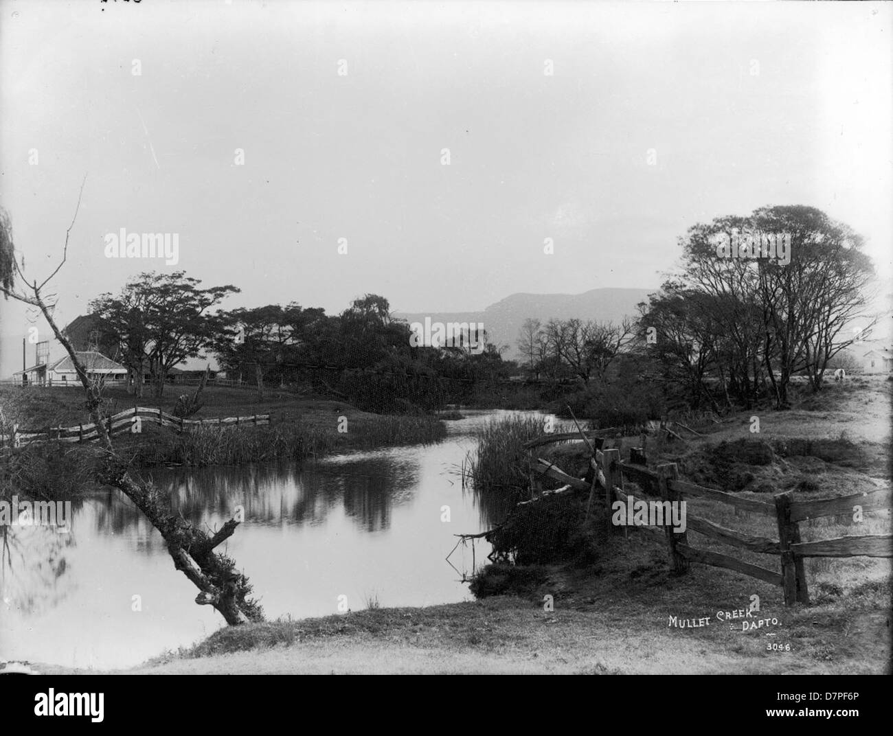 Questa fotografia mostra Mullet Creek vicino a Dapto, conservato nella collezione del Powerhouse Museum. L'immagine sottolinea l'importanza storica ed ecologica dell'area, riflettendo il suo ruolo nell'industria locale e nello sviluppo della comunità. Foto Stock