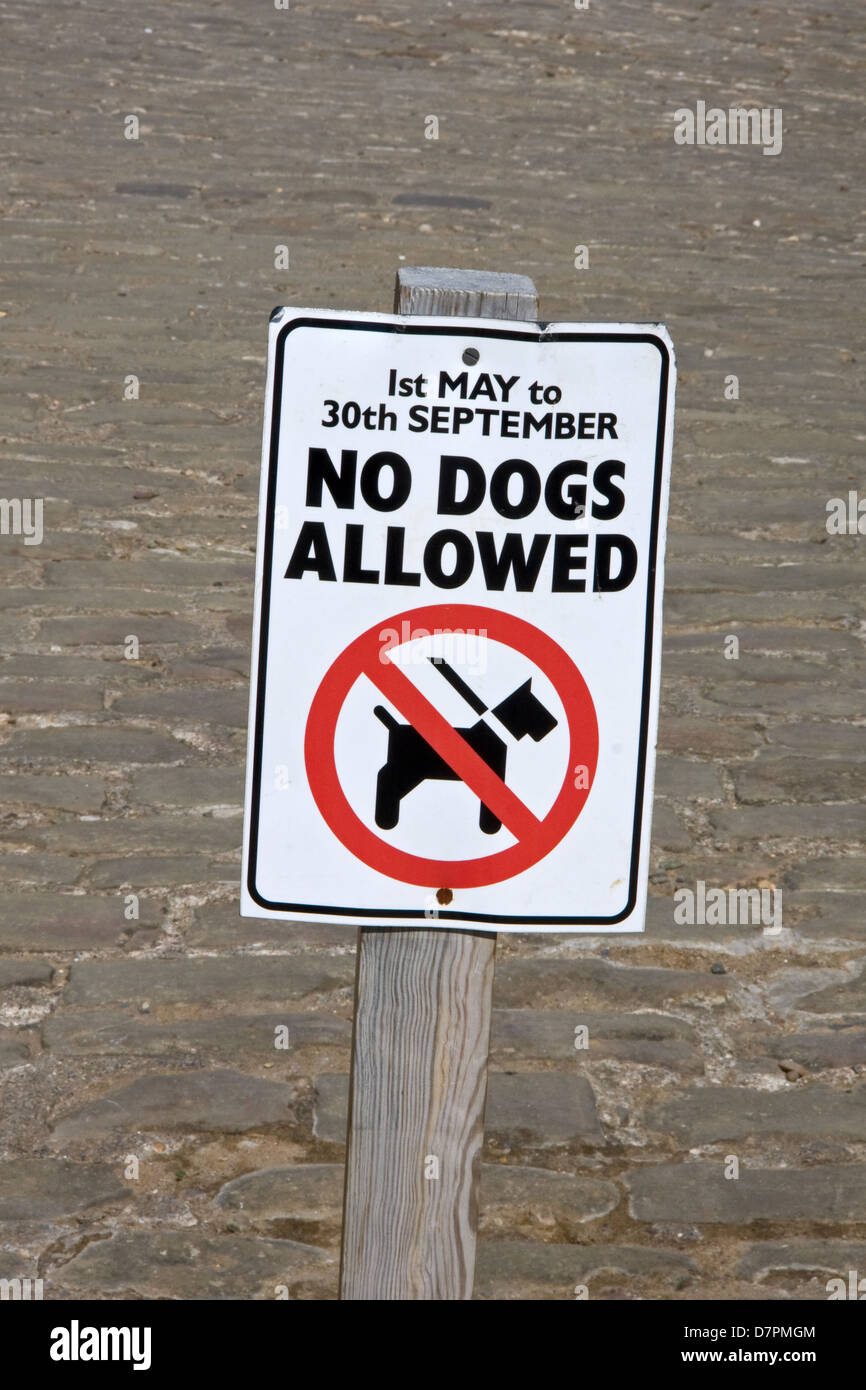 Non sono ammessi cani firmare in ingresso alla spiaggia, per tutta la durata della stagione estiva Foto Stock