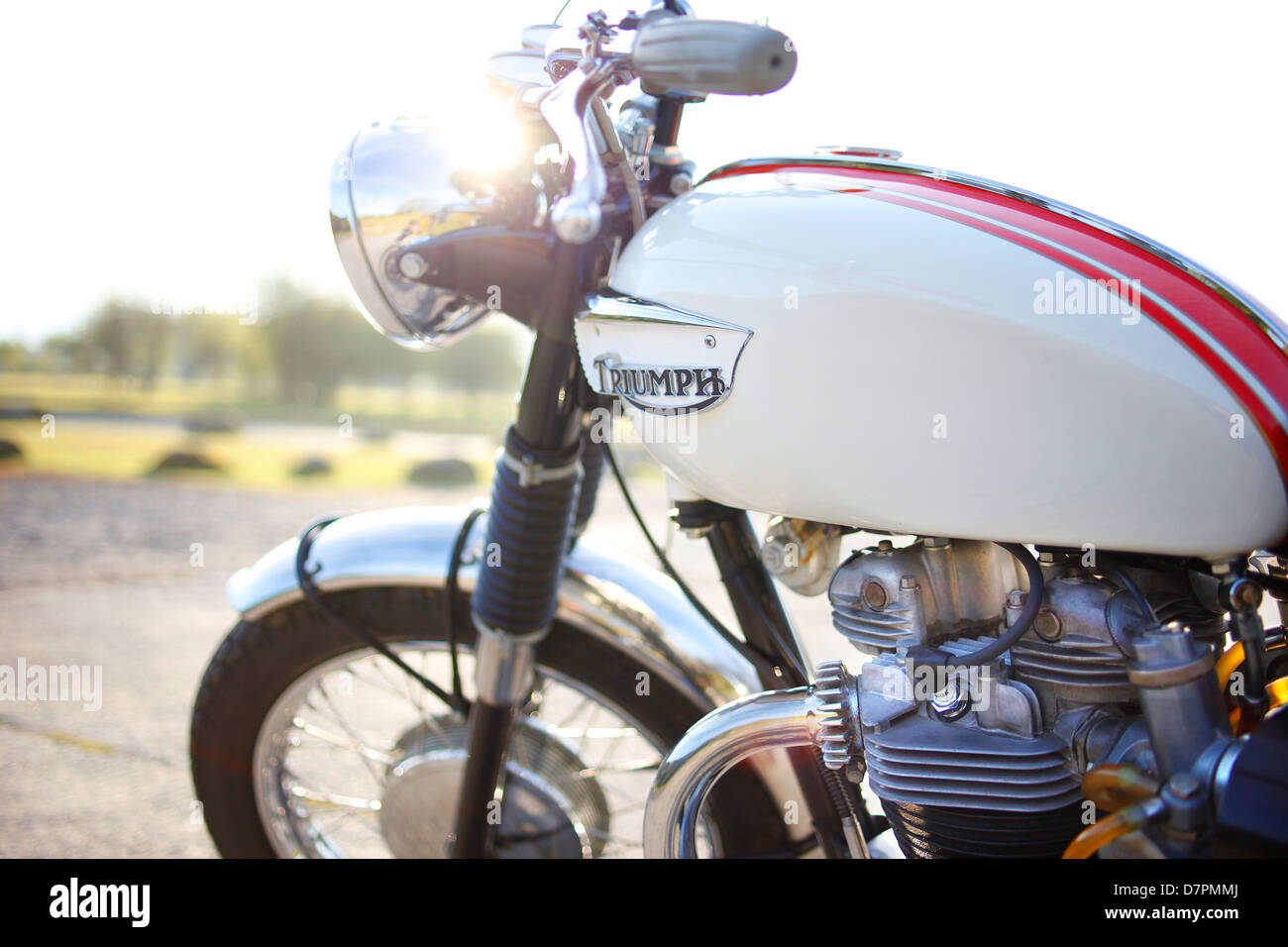 Triumph bonneville t120 immagini e fotografie stock ad alta risoluzione -  Alamy