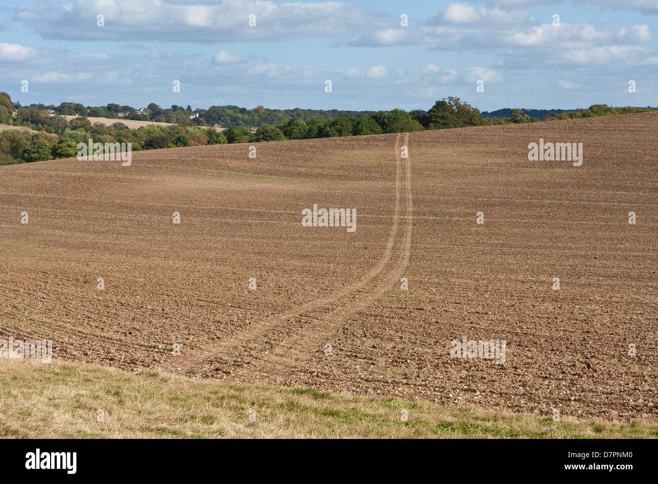 Tracce di pneumatici attraverso un campo Foto Stock