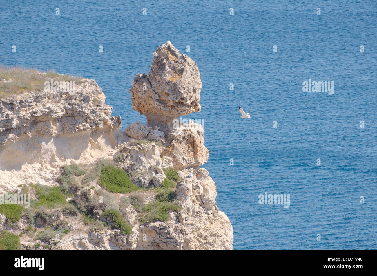 La costa della penisola, Tarhankut, Tarhan Qut, Crimea, Ucraina, Europa orientale Foto Stock