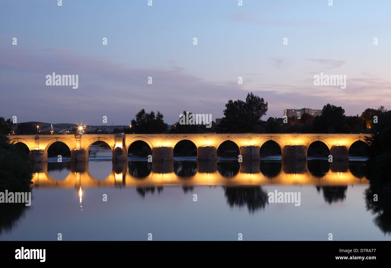 Il vecchio ponte romano di Cordova illuminata di notte. Andalusia, Spagna Foto Stock