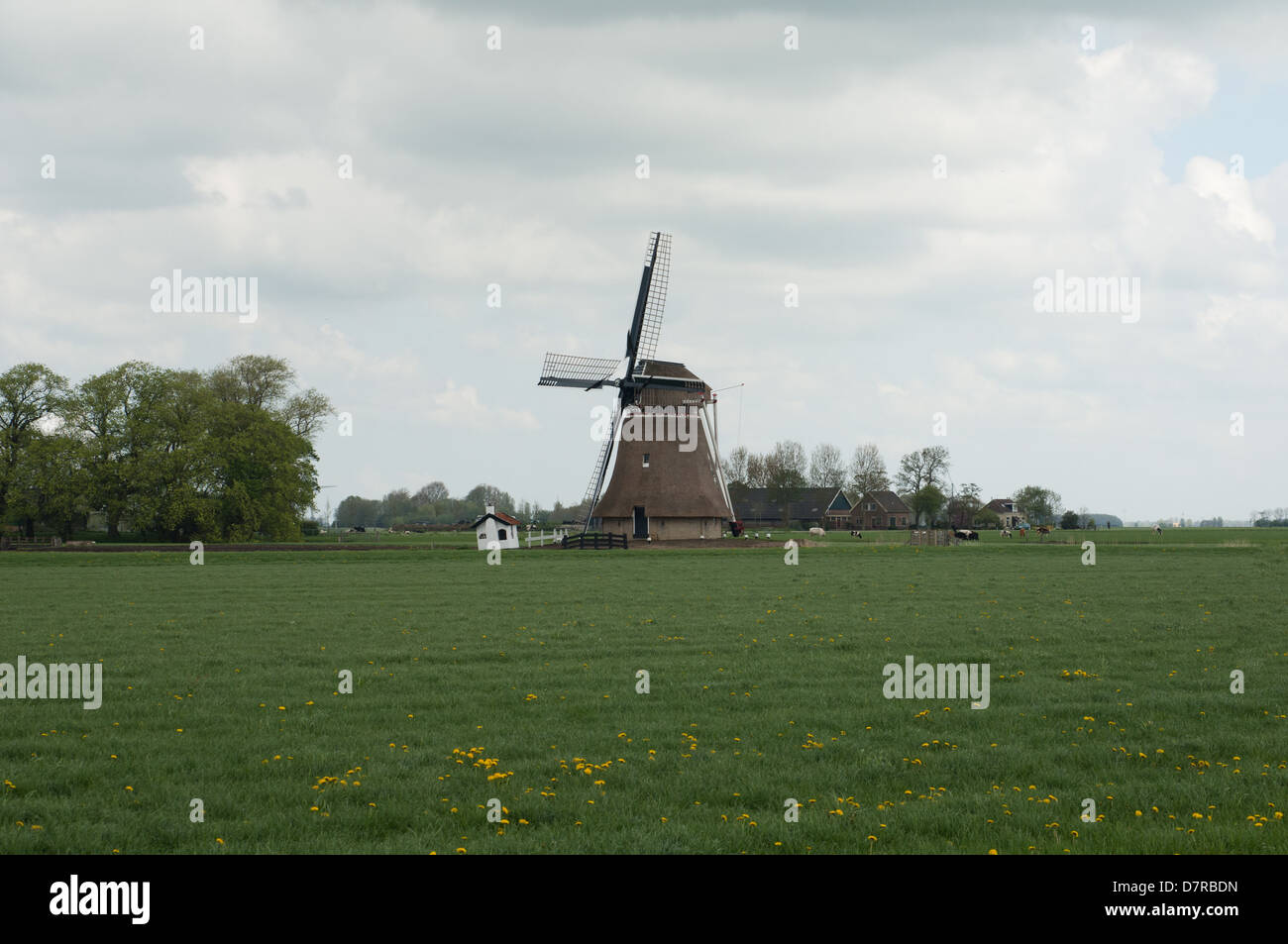Frisia Nederland mill molen olanda wanswerd Foto Stock