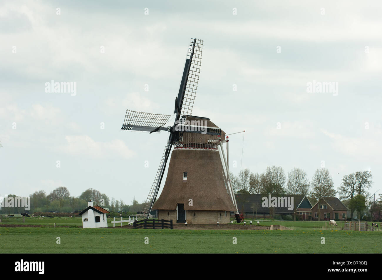 Frisia Nederland mill molen olanda wanswerd Foto Stock