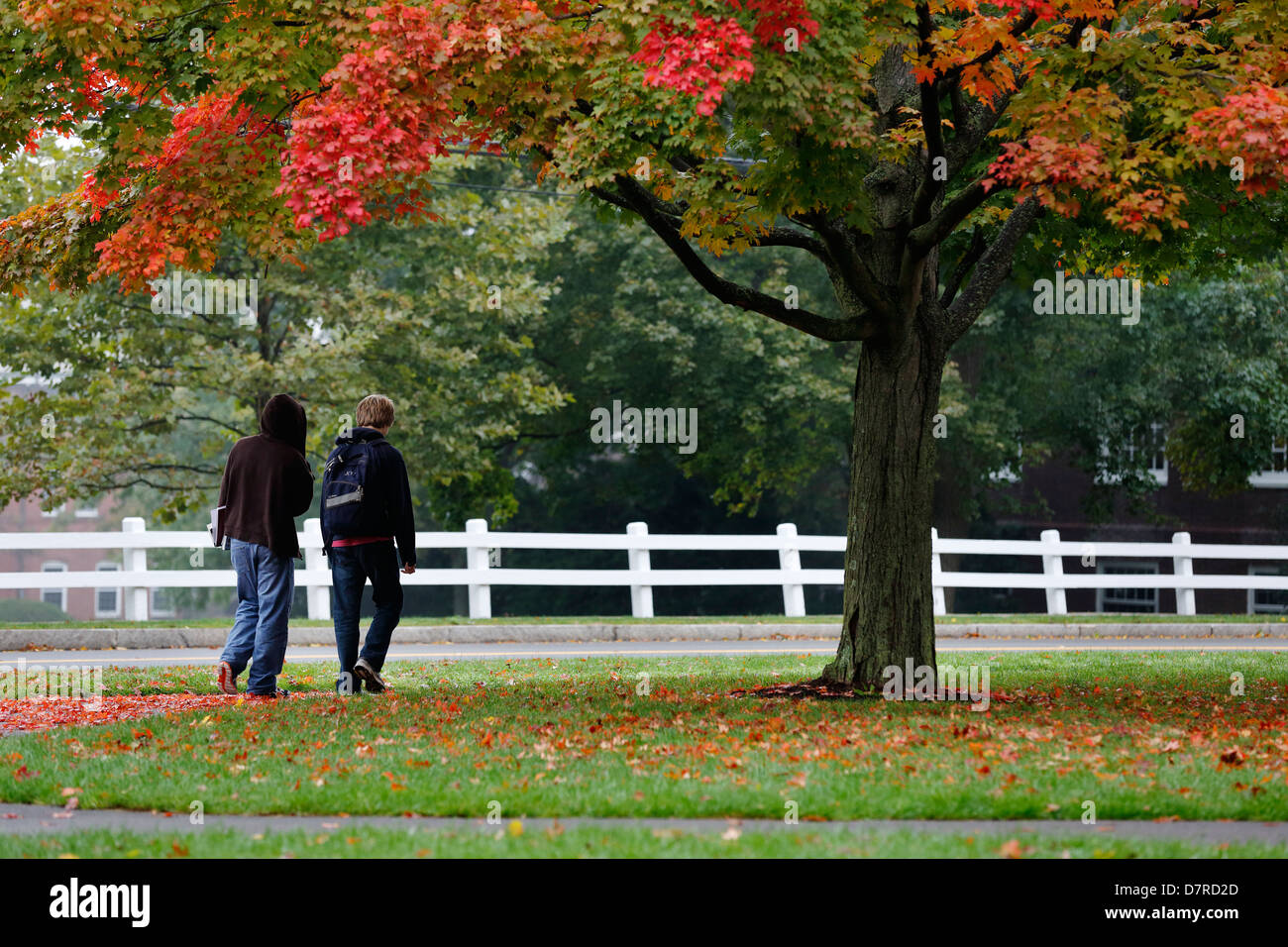 La Nuova Inghilterra autunno, agli studenti di andare a scuola a piedi caduta delle foglie Foto Stock