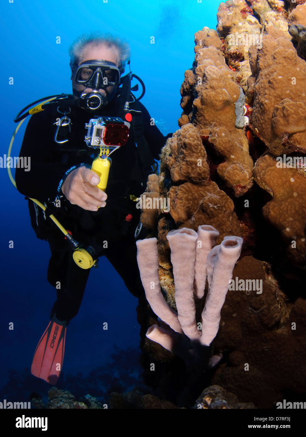 La fotografia subacquea di una barriera corallina del Mar Rosso Aqaba Giordania Foto Stock