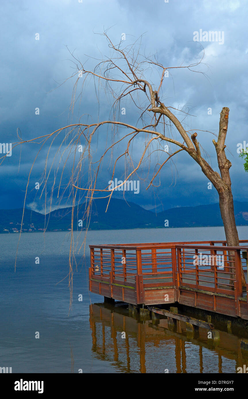 Il lago di Massaciuccoli, Torre del Lago Puccini, Viareggio, Provincia di Lucca, Toscana Italia Europa. Foto Stock