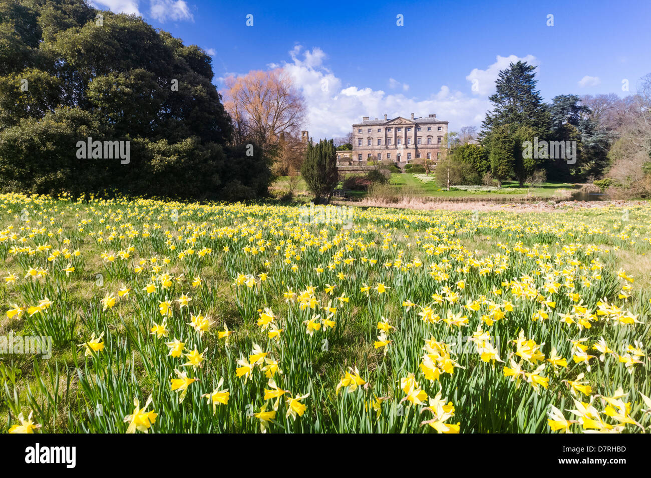 Howick Hall di Northumberland, la casa di Earl Grey. Foto Stock